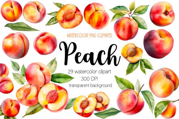Download Watercolor Peach Clipart Bundle PNG - Peach Collection