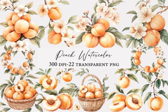 Download Peach Watercolor Clipart - Peach Collection